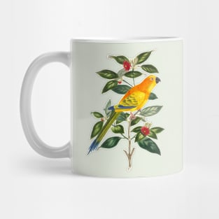 Parrot Colorful Nature Illustration Mug